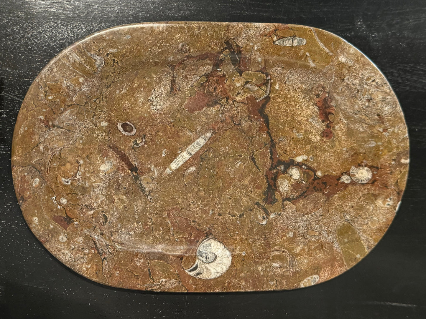 Stone Fossil Platter