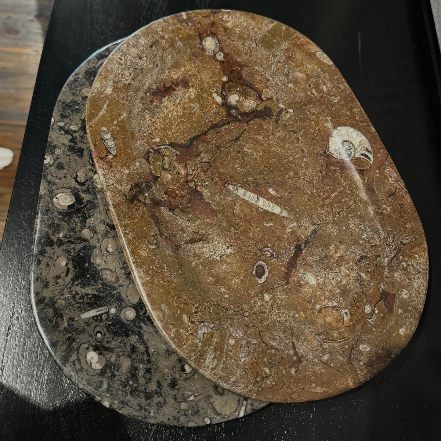 Stone Fossil Platter