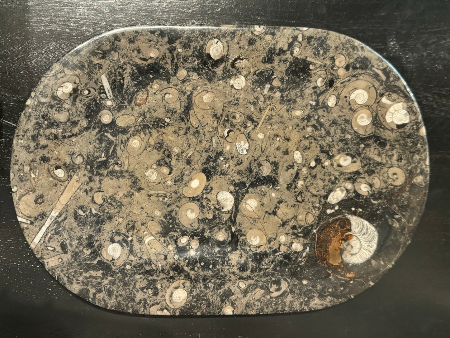Stone Fossil Platter