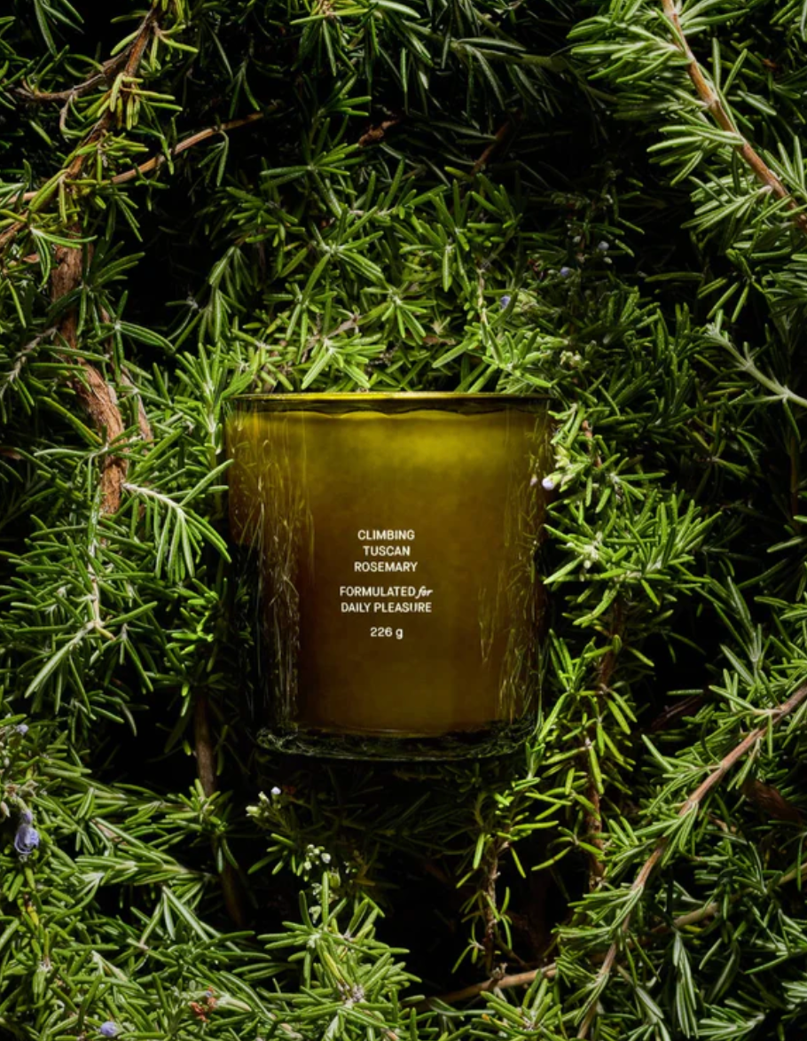 Climbing Tuscan Rosemary Candle